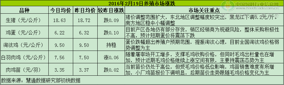 鸡评.png