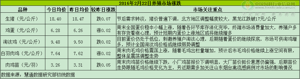 鸡评.png