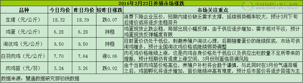 鸡评.png