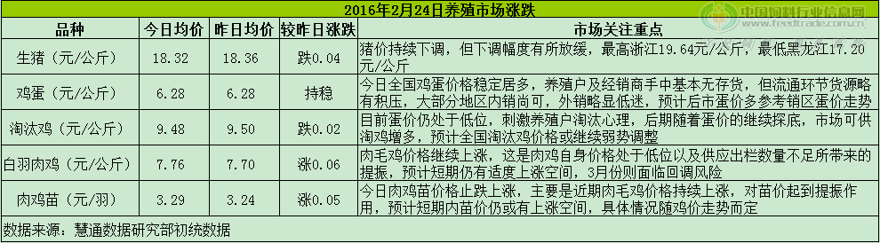 鸡评.png