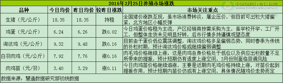 鸡评.png
