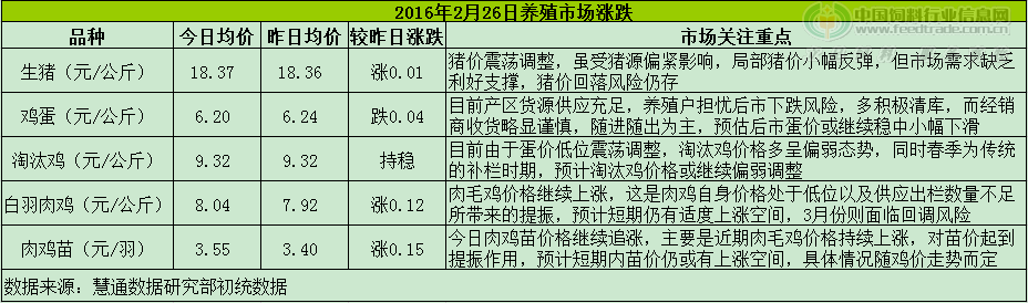 鸡评.png
