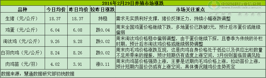 鸡评.png