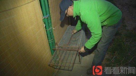 最近，小编听说，在浦东的一个村子里，一周内竟有将近200只鸡鸭被“神秘杀手”咬死。那么，“凶手”到底是谁？事情又是否与2公里外的上海野生动物园有关？小编决定一探究竟。