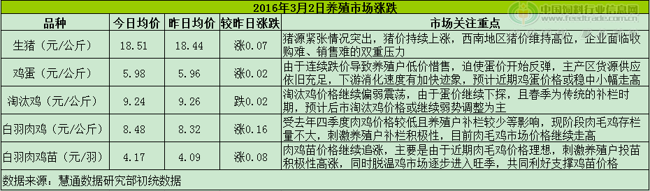 鸡评.png