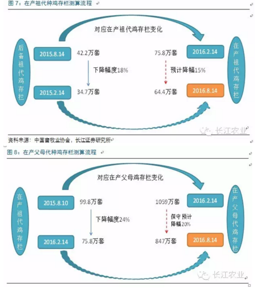 长江评禽产业:春风已绿江南岸 明日花开或更红