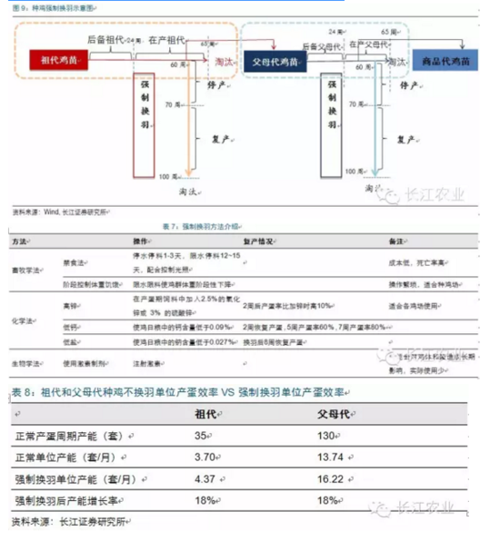 长江评禽产业:春风已绿江南岸 明日花开或更红