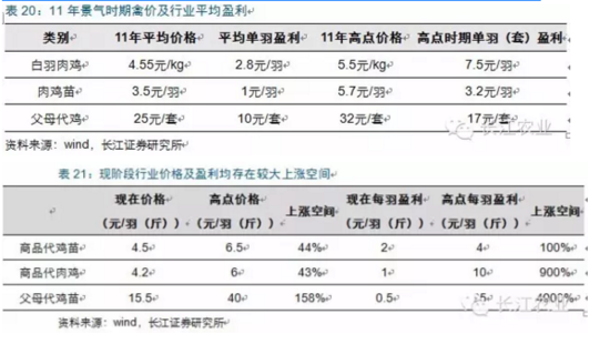 长江评禽产业:春风已绿江南岸 明日花开或更红