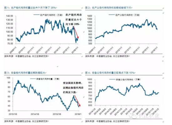 长江评禽产业:春风已绿江南岸 明日花开或更红