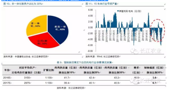 长江评禽产业:春风已绿江南岸 明日花开或更红