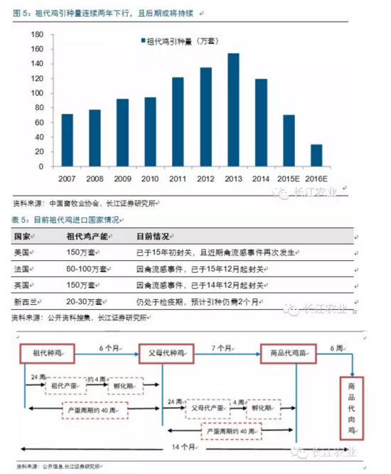 长江评禽产业:春风已绿江南岸 明日花开或更红