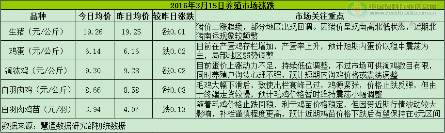 鸡评.png