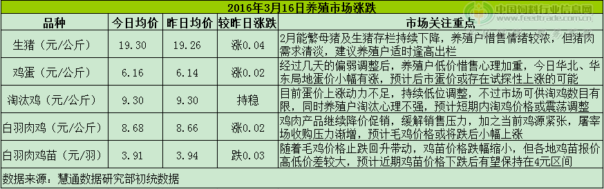 鸡评.png