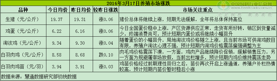 鸡评.png