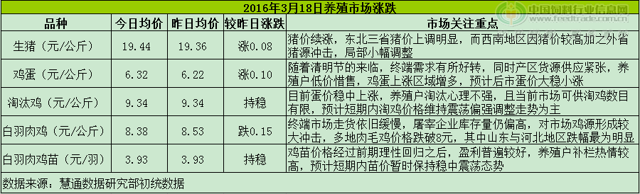 鸡评.png