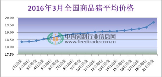 2016年3月全国商品猪平均价格.jpg