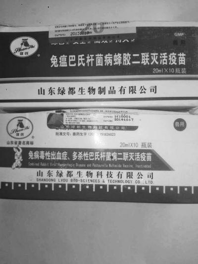 洛阳养殖户买到假疫苗 800只獭兔打疫苗后死亡