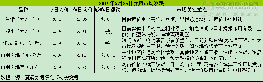 鸡评.png