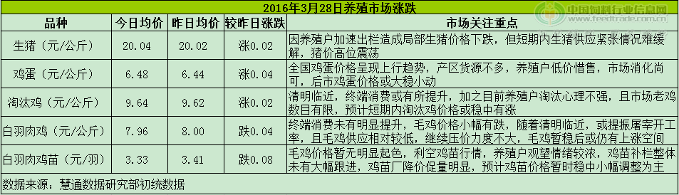 鸡评.png