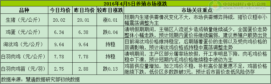鸡评.png