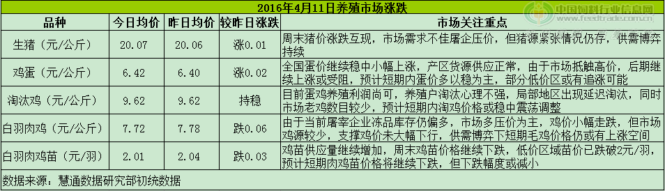 鸡评.png