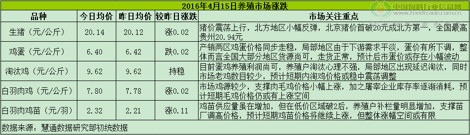 鸡评.png