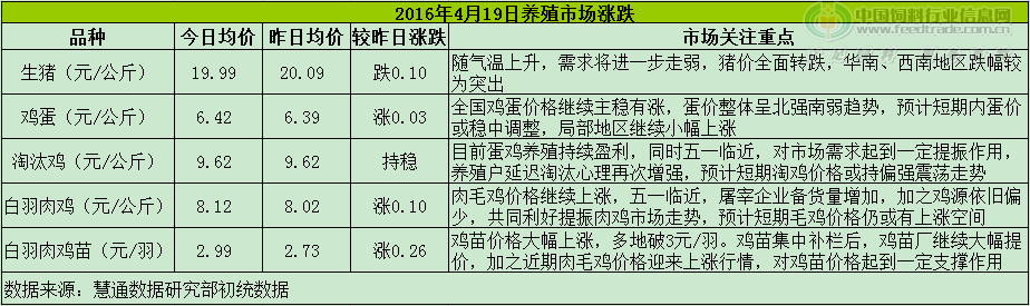 鸡评.png
