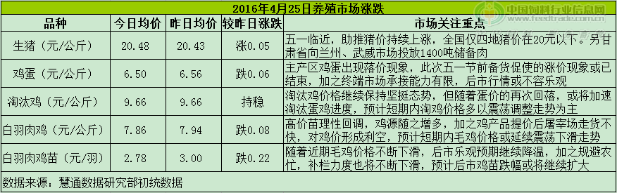 鸡评.png