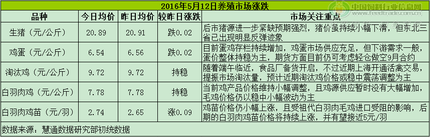鸡评.png