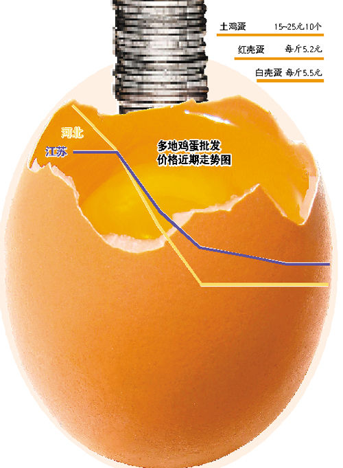 ●部分地区鸡蛋批发价下行至十多年最低