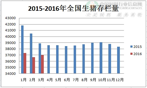2015-2016.3国内生猪存栏量对比.jpg