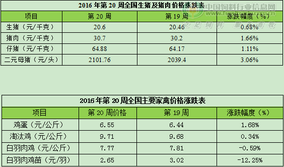 周度表.png