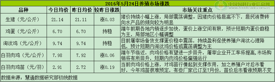 鸡评.png