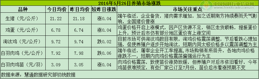 鸡评.png