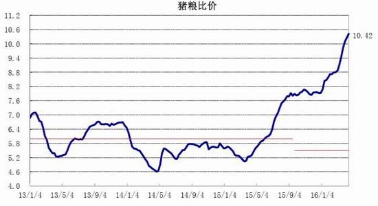 银河期货:关注玉米生长
