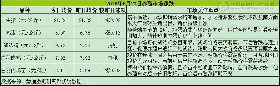 鸡评.png