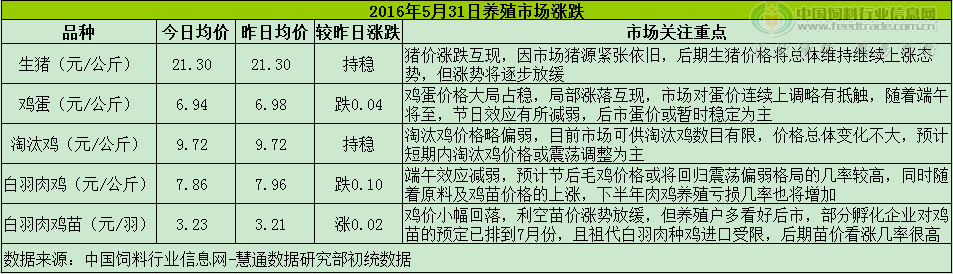 鸡评.png