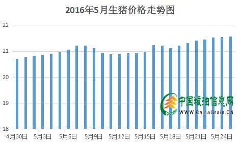 拍卖已经开始 玉米还会涨吗？