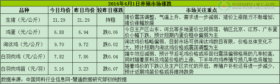 鸡评.png