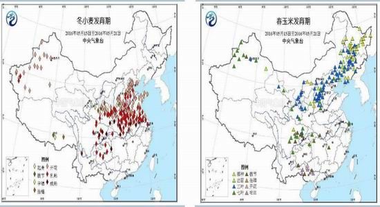 华泰期货:玉米价格下滑