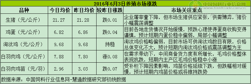 鸡评.png