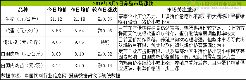 鸡评.png