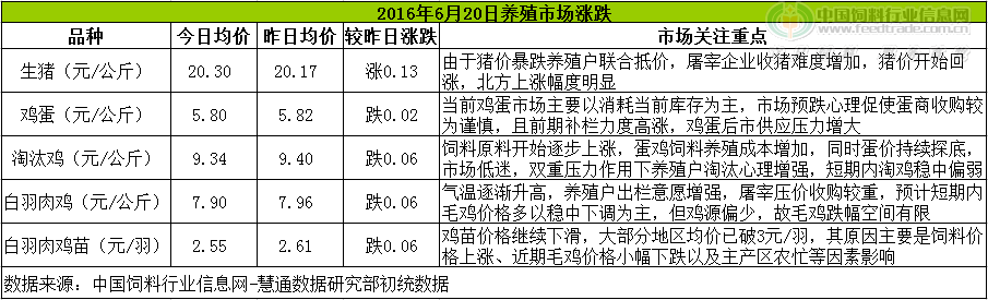 鸡评.png