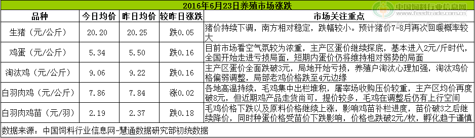 鸡评.png