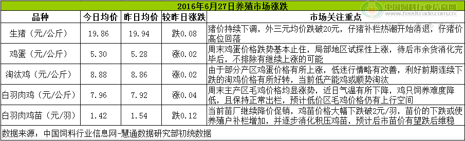 鸡评.png