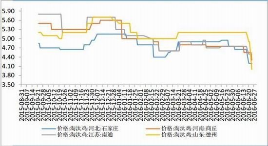 鲁证期货:老鸡淘汰加速