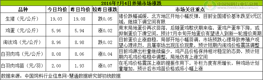 鸡评.png