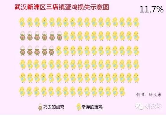 暴雨淹死了好多鸡 近月蛋价或大涨