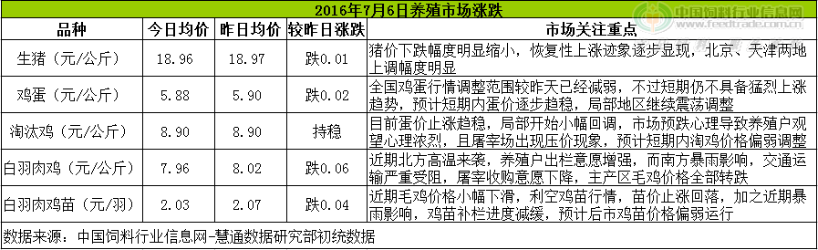鸡评.png