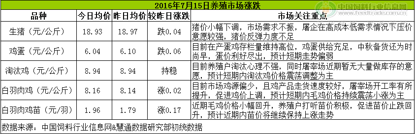 鸡评.png